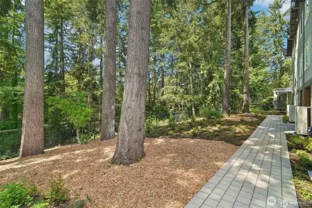 Dedicated open space provides pleasant buffer and summer shade