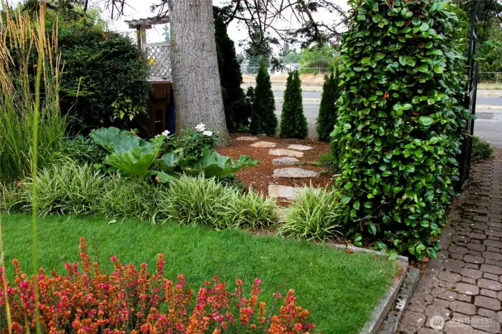 Beautiful front yard