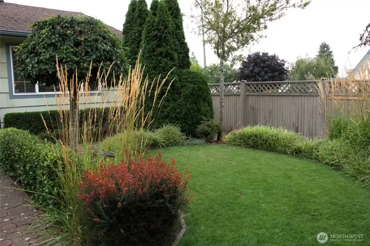 Fully fenced and lots of privacy here
