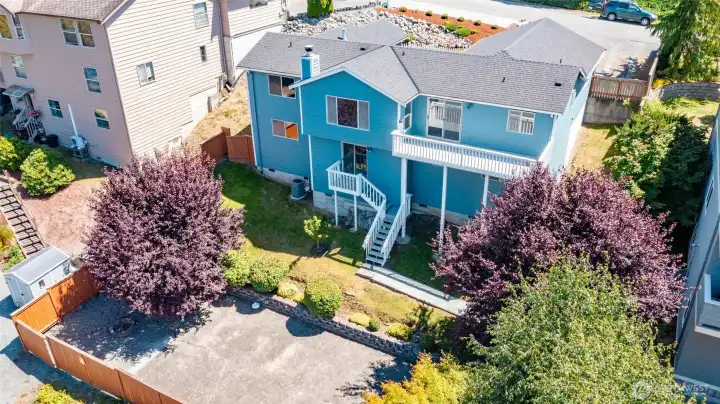View of the backyard and daylight basement floorplan.