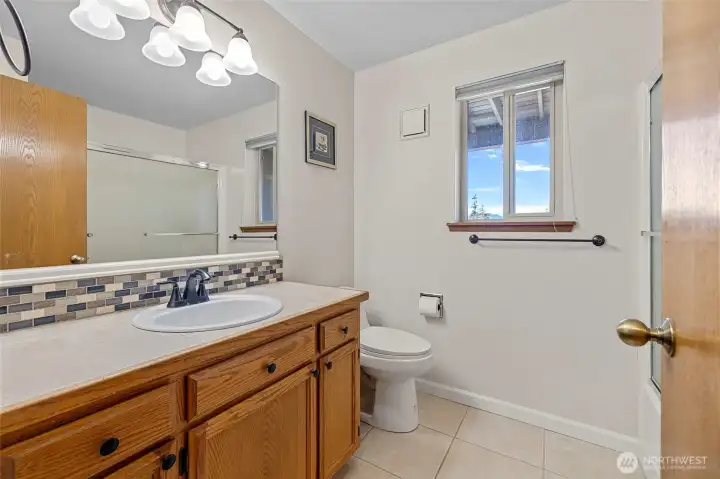 Lower level full bathroom