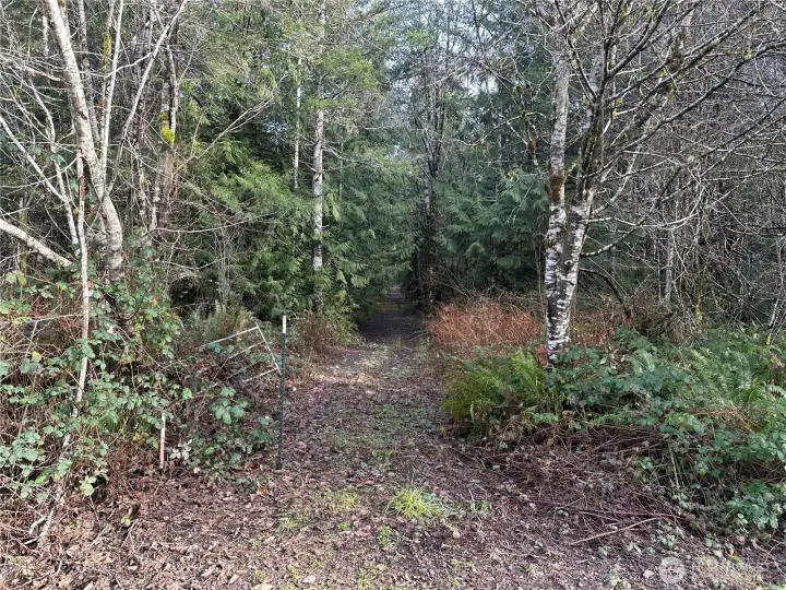 View walking to the back of the property.