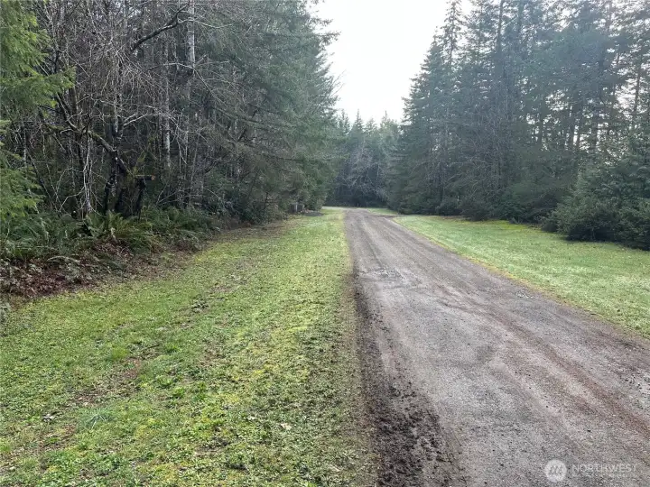 Property has been well maintained along front of property.