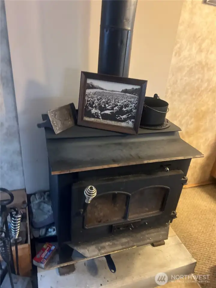 cozy wood stove