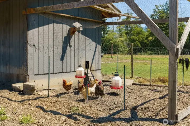 Chicken coop with fenced outdoor run. Happy hens lay the best eggs! Chicken coop with fenced outdoor run. Happy hens lay the best eggs!