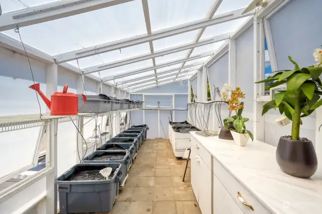 Spacious greenhouse with auto-vent window.