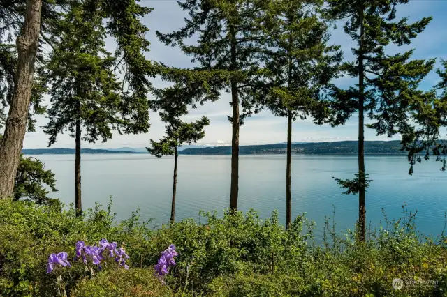Breathtaking vistas of Mount Baker and Saratoga Passage unfold right at your doorstep.