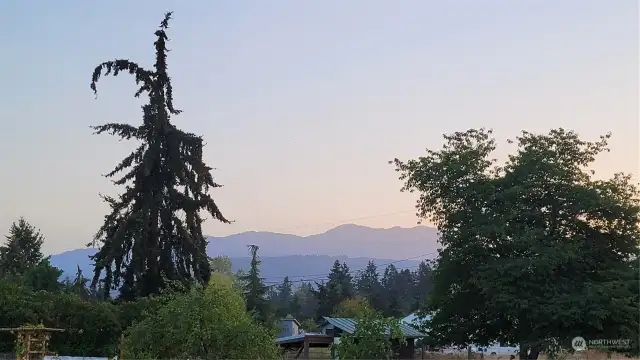 The mountain view from the back yard is beautiful!