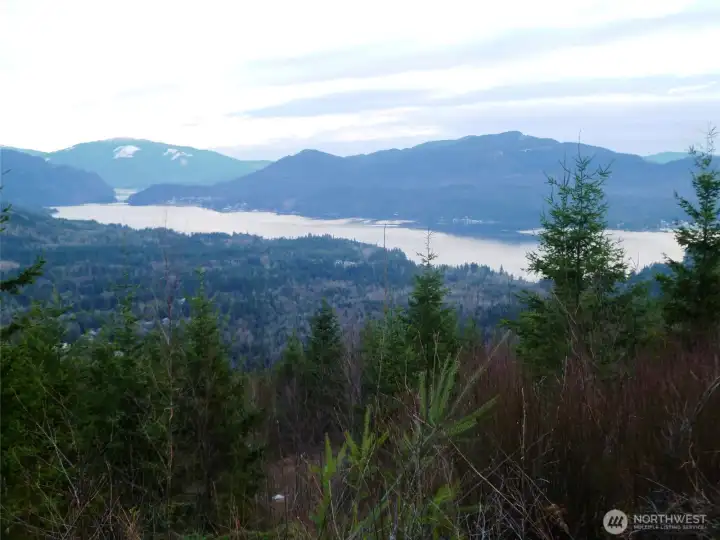 View towards the SE of Lake Whatcom from adjacent lot. Views will be similar once trees are cleared, however may not see as much of the lake to the west