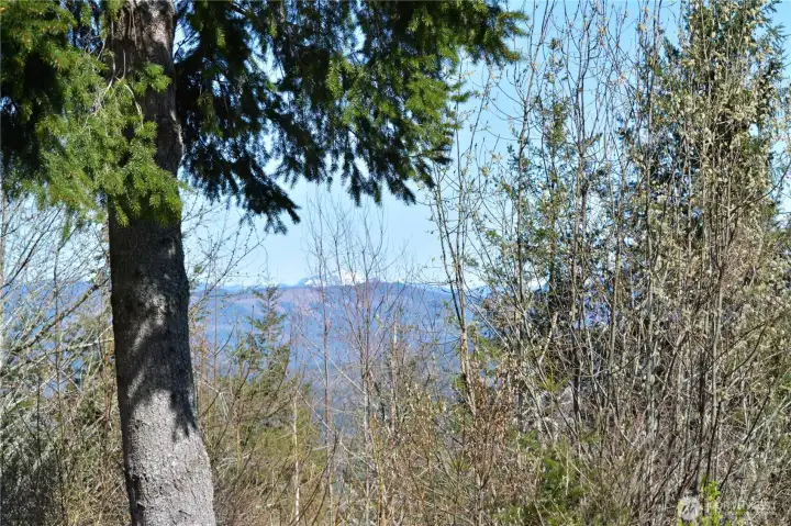 View to the east of Stewart Mt. View will improve once trees are thinned.