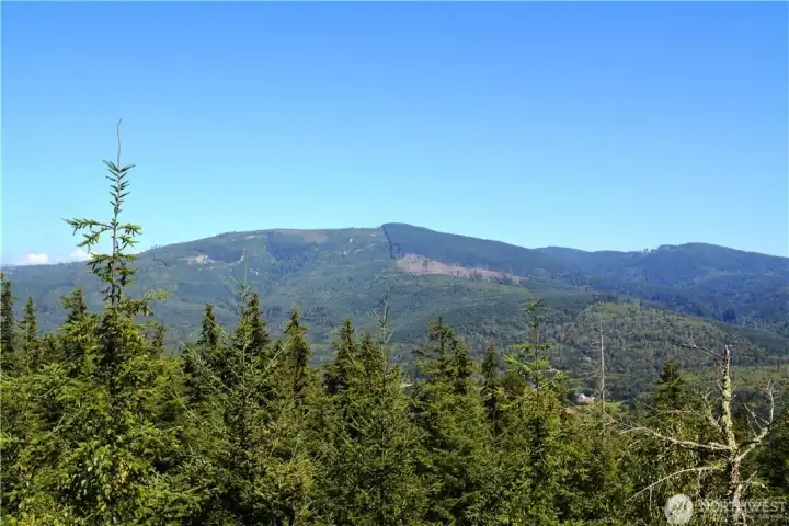 View east of Stewart Mt.