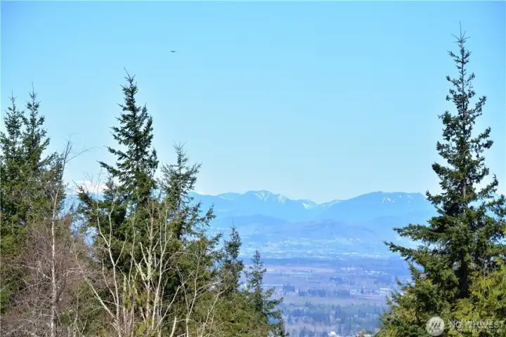 Project Photo looking north towards Canada