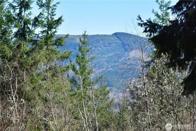 View to the east of Stewart Mt.
