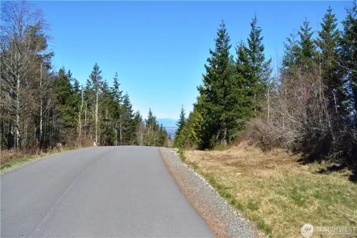 View from road looking North into Canada