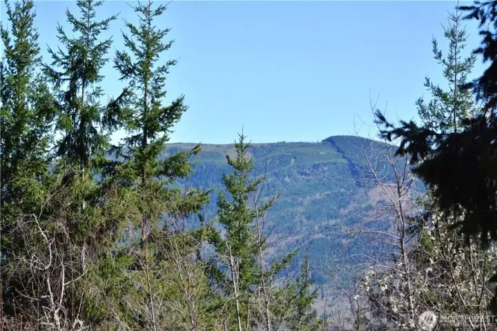 View of Stewart Mt to the east