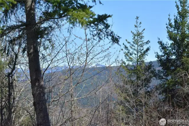 View of Stewart Mt to the east.Can remove all the trees and branches for an unobstructed view