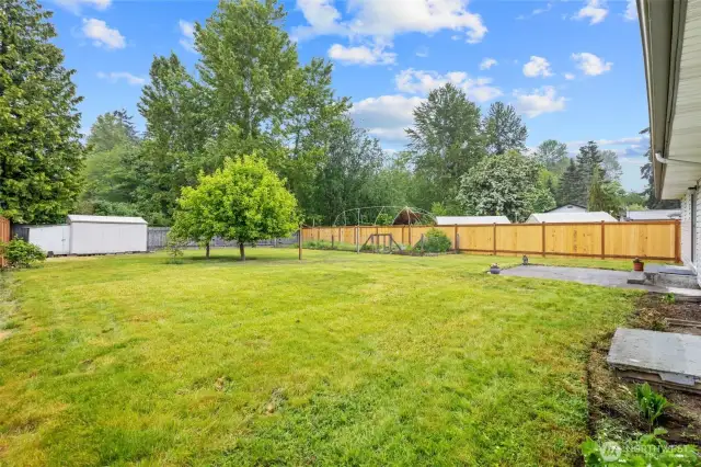 Backyard with new fence and a shed