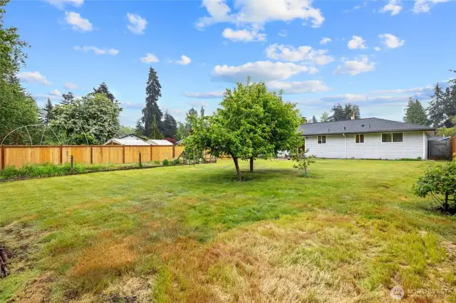 View of the house from the backyard