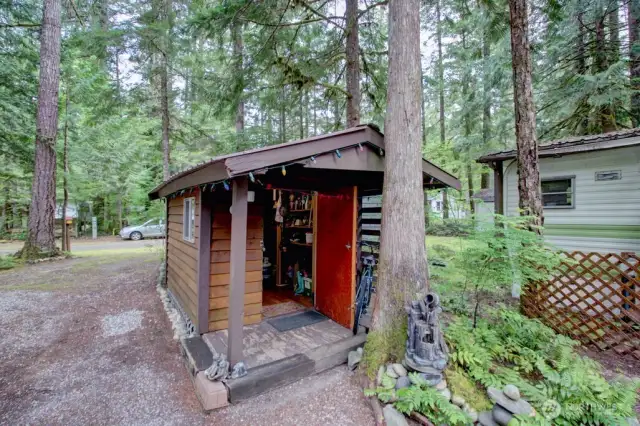 Multi use shed!
