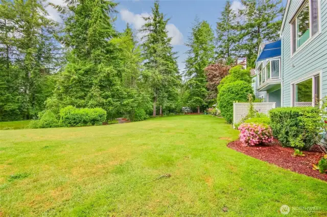 extraordinary views of natural area and trail behind home