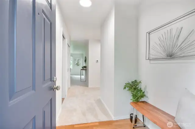 Step in to entry hall