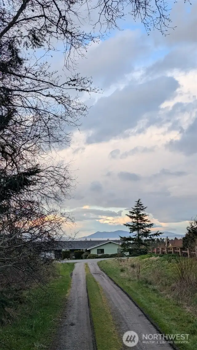 Potential view!