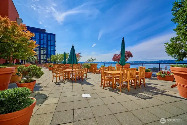 The Vine has one of the finest rooftop terraces in Seattle! It's a perfect spot to socialize and take in the stunning panoramic views of Elliott Bay, Mount Rainier, the Olympics and downtown.