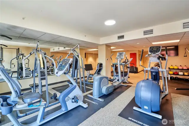 The Vine's 6th floor fitness room is well equipped with aerobic machines, dumb bells and weight lifting machines.