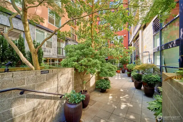 Enjoy urban living and a vibrant atmosphere in The Vine. A 94 walk score puts the waterfront, restaurants, shops, parks and work at your doorstep.