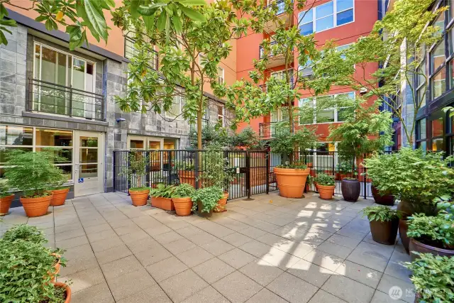 The Vine's courtyard entry is lovely and blooms in all seasons.
