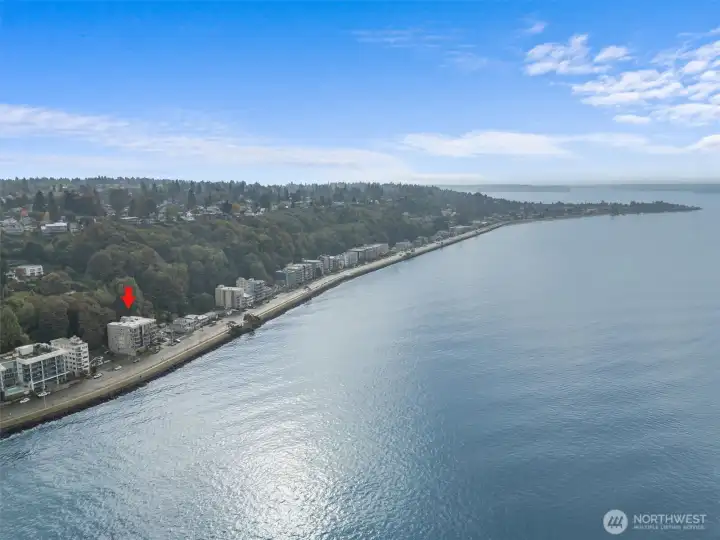 Just a short stroll to all of the great restaurants, coffee houses and pubs along Alki.