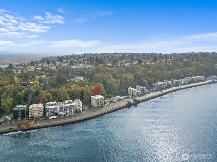 The downtown water-taxi has a shuttle that picks up passengers along Alki Ave SW.