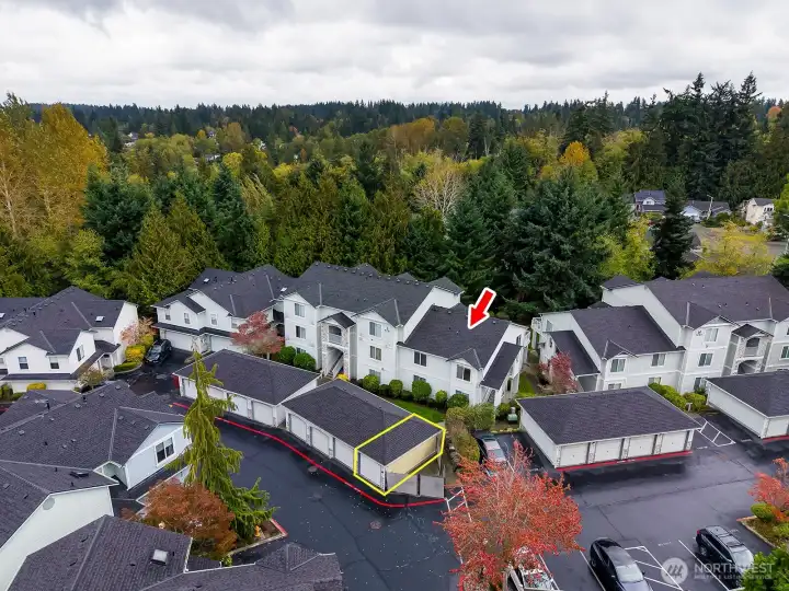 Feels more like a neighborhood than a complex — surrounded by trees, peace, and privacy.