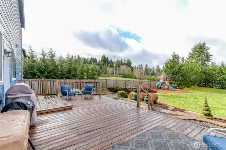 this backyard has everything to offer!