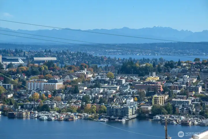 Check out what's happening at Husky Stadium