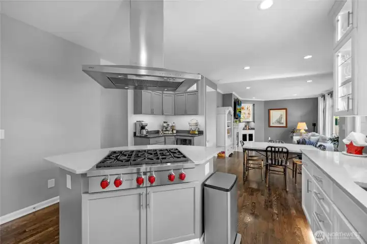 Gourmet Wolf Appliances