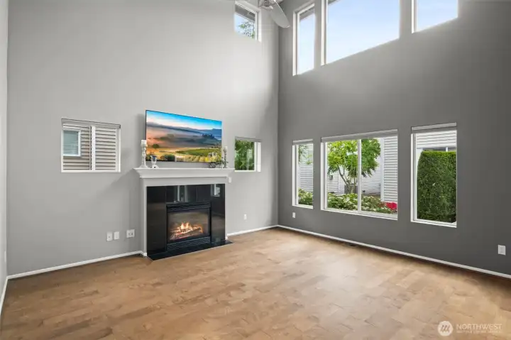 Vaulted Ceilings & a Cozy Gas Fireplace