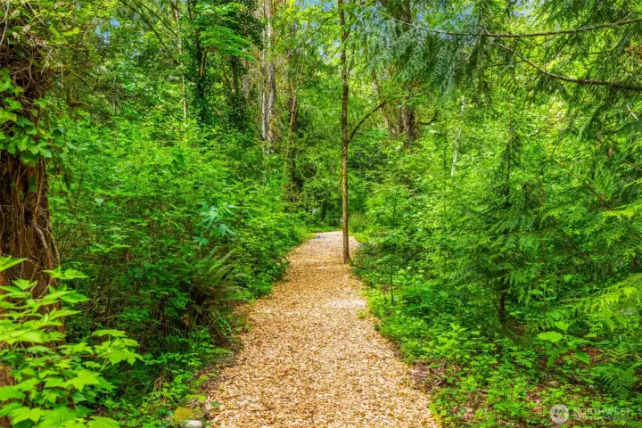 Meandering trails wind through lush Pacific Northwest forest, creating a setting that feels both grounding and restorative. Meandering trails wind through lush Pacific Northwest forest, creating a setting that feels both grounding and restorative.