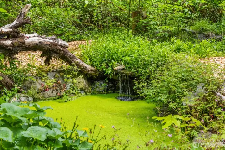 A tranquil pond and gentle water feature enhance the home’s sense of calm, blending seamlessly into the surrounding natural landscape. A tranquil pond and gentle water feature enhance the home’s sense of calm, blending seamlessly into the surrounding natural landscape.