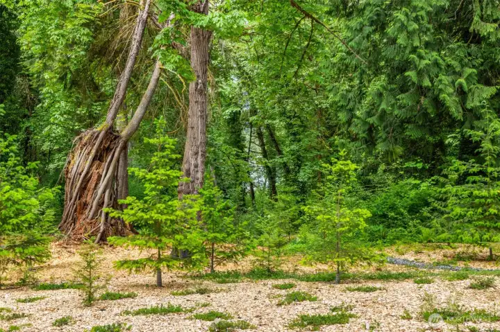 More than landscaping, the grounds feel like a living meditation—woven with pathways, native plantings, and quiet pockets beneath the canopy. More than landscaping, the grounds feel like a living meditation—woven with pathways, native plantings, and quiet pockets beneath the canopy.