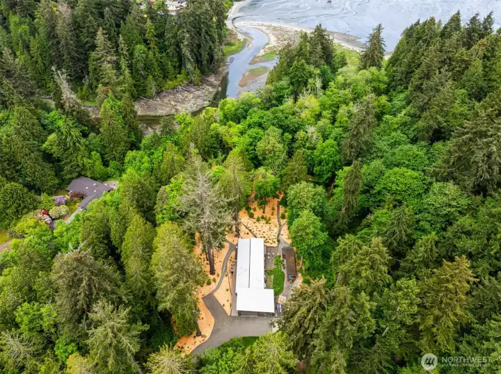 4.41 acres stretching from forest to tidelands—an extraordinary waterfront setting where nature unfolds with every tide. 4.41 acres stretching from forest to tidelands—an extraordinary waterfront setting where nature unfolds with every tide.