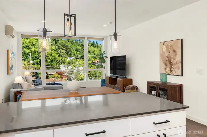 Living area viewed from the kitchen with bright southeast exposure, wide-plank flooring, and connected open-plan layout.