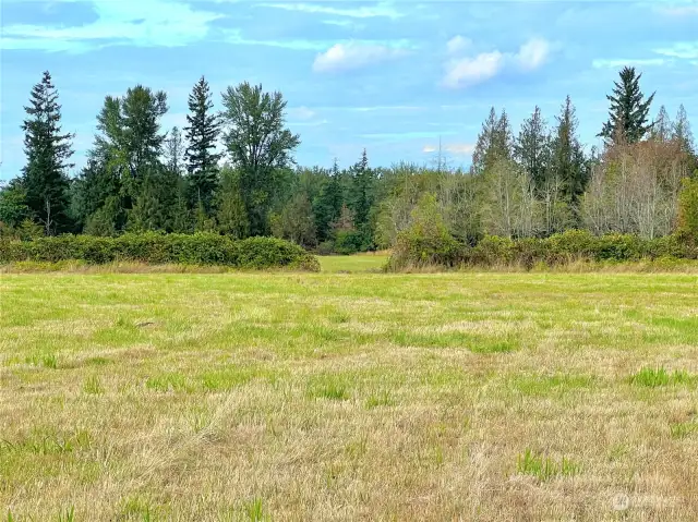 There's an opening on the northernmost portion of the property.