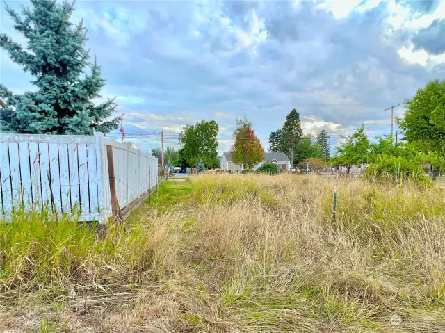 Looking toward Collins Road from within property.  The white fence on the left-hand side is 1698 Collins Road.