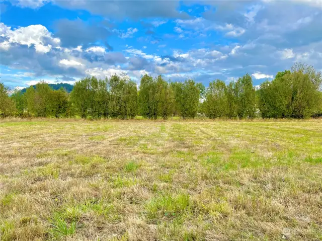 View of the eastern portion of the south-side of the property.