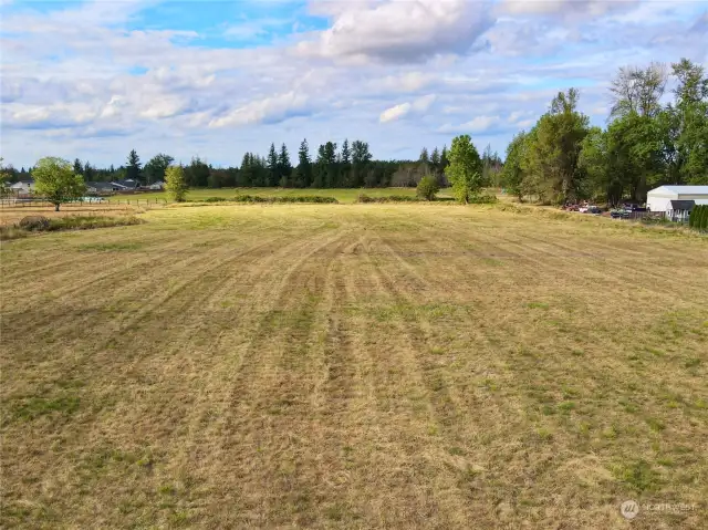 Entire property is mostly pastureland. Looking north.