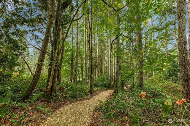 Forested cushion on all sides with plenty of space for an ideal homesite