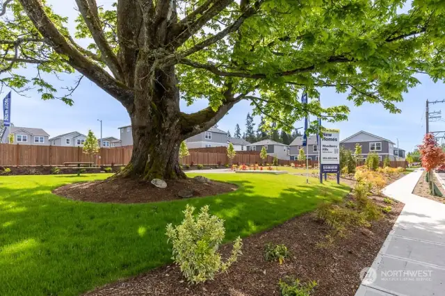 Enjoy the Community Parks. Park #1  has benches and a picnic table. Park #1  has benches and a picnic table.