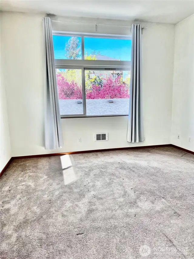 Primary Bedroom, lot of nature light