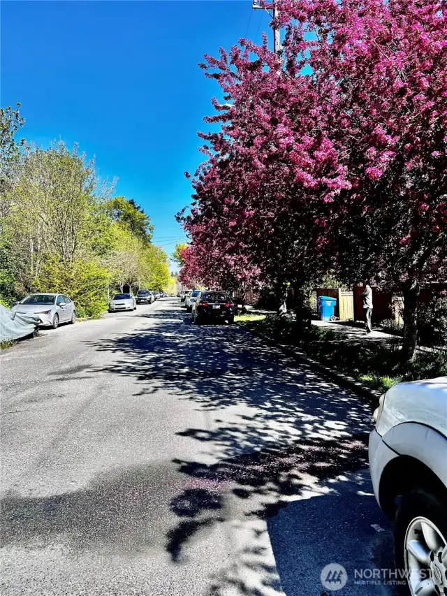 Plenty of parking on the back street